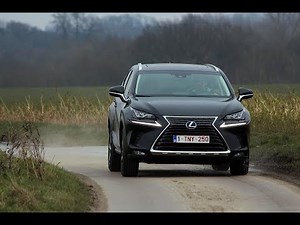 2019 Lexus NX 300h [Review] - The Euro Car Show