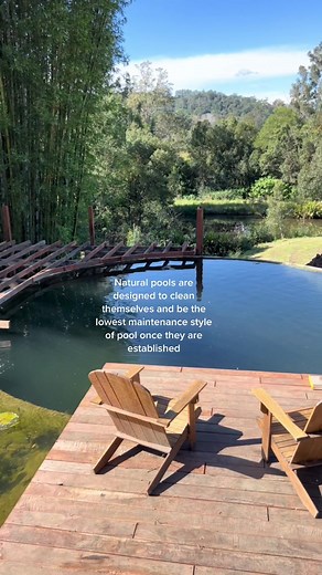 Eco-Friendly Natural Swimming Pools | Self-Cleaning Design