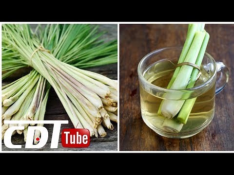 La citronnelle : un trésor de bienfaits pour notre santé | CDT NEWS