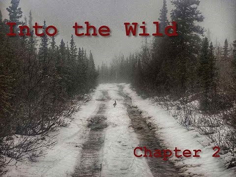 Into the Wild Chapter 2 Summary
