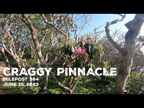 A Hike to Craggy Pinnacle on the Blue Ridge Parkway