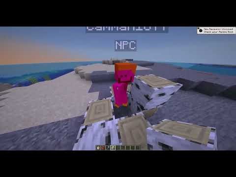 minecraft java has NPCs now