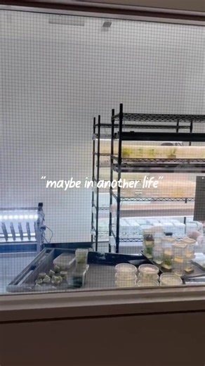 Follow your plant tissue culture dreams in this life! Our first two classes of the year have already been announced. Join us in person in DC this February for the spicy tomatoes class or online live this March for the houseplants class. Link in our bio to register! Seats are flying, don’t miss on the jump start of your tissue culture career this 2026! #tissueculture #planttissueculture #tissuecultureplants #micropropagation #tissueculturelab