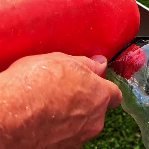 Coming Soon! Fuel 1 Home Delivery Pods bring premium fuel directly to your home—on your terms. Whether it’s your garage, dock, or business, enjoy clean, reliable fuel with on-demand delivery or simple pickup and exchange when you need it. No more gas station runs, no more spills in your vehicles—just consistent, hassle-free access to the fuel your equipment deserves. Reserve your pod today for free to secure your spot as we roll out in your area and be first in line when service goes live. Some 