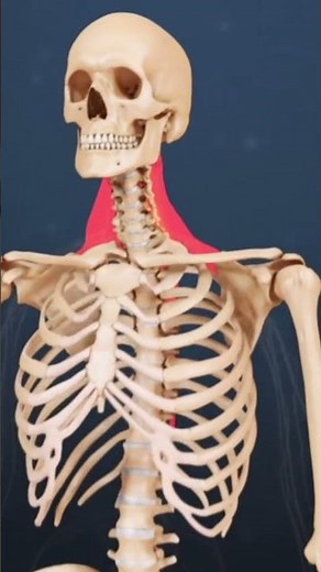 When to Expect Symptoms from a Whiplash Injury