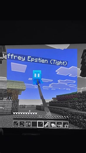 #Fyp #fypage #fypシ #minecraft #huluschippendaledance | minecraft