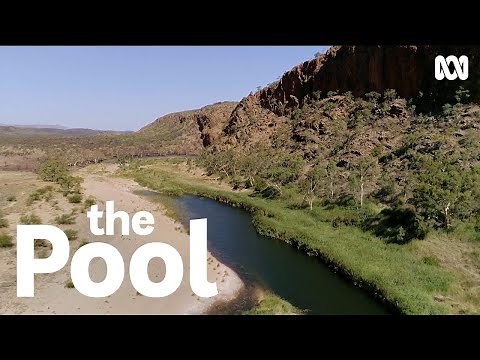 How Billabong is Australia's Original and Oldest Pool | The Pool