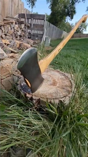 Beautiful double bit from Raw Axes 🙏🪓 ‪@BradRitonya‬