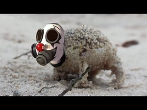 Angry Squeaking Pyro