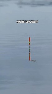 Mancing boncos #fishing #story #reels #fyp | Ali Enger