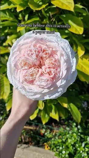 Paper Garden Rose | Crepe Paper Rose | DIY Paper Rose