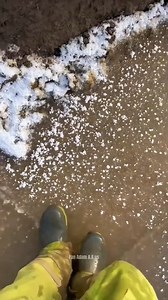 Adam constrution reaction part 175 | Adam fanssss