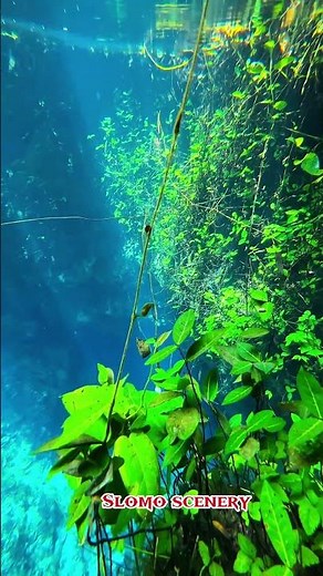 Mother Nature’s Best Work 🌍#status #nature #shorts #love