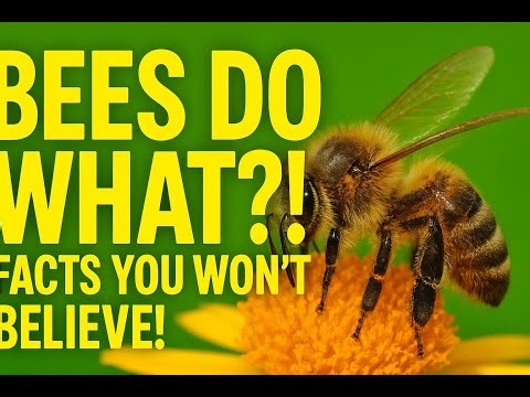 The Secret Life of Bees – 10 Incredible Facts in One Video