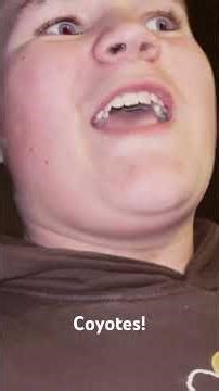 Pack of Coyotes howling in the woods next to my home!