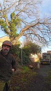 Speeded up little oak tree reduction with our Nibbles #treesportsfans #treesurgery #treeclimber #arborist #wales | GroundsWise