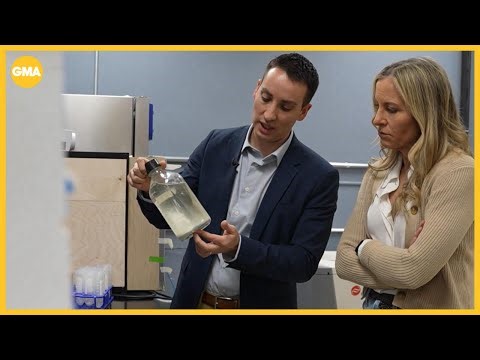 What to know about the impact of microplastics on the body