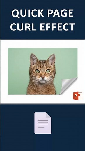 Page Flip Effect in PowerPoint #tutorialshorts #powerpoint #powerpointtips