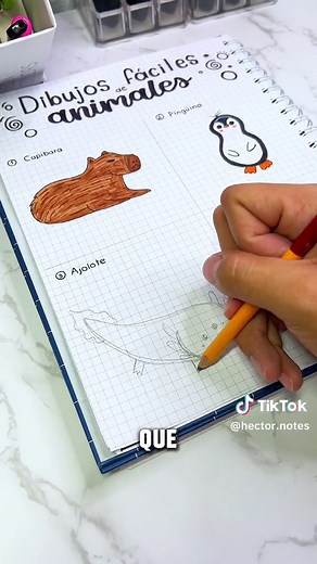 Dibujo fácil de un ajolote: ¡Aprende a dibujar paso a paso!