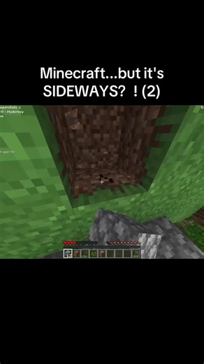Minecraft...but it's SIDEWAYS？! (2) | minecraft