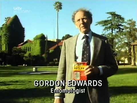 Pandora's Box, E4: Goodbye Mrs. Ant