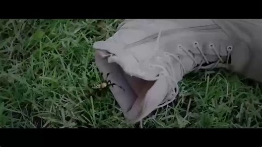 Big snake Hollywood English movie latest action adventure English full movie English movies