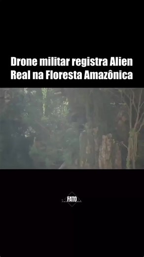 fatosinacreditaveis no TikTok