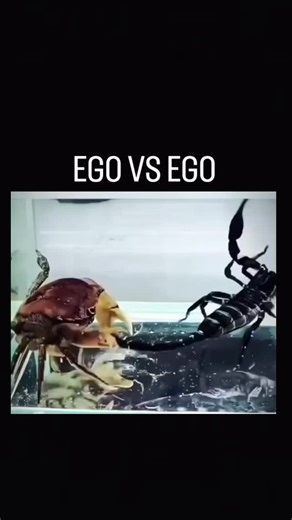 trending Entertainment 💫 on Instagram: "You NEED to follow (us) 👉🏼 @trendtok._reels to learn something NEW everyday 🤖🤯 A spring is made by first selecting a suitable material, typically steel or stainless steel, and drawing it into a thinner wire. The wire is then coiled into the desired shape using a machine, and heat-treated to harden and improve its flexibility. Afterward, the spring may be polished or coated for protection. Finally, it undergoes testing to ensure it meets the required s