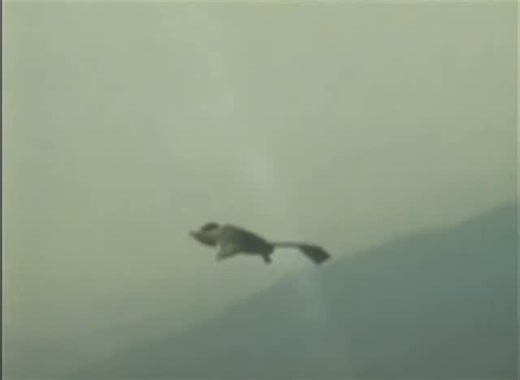 AnonymouShadow | UFO Research on Instagram: "(Video): “Birds of Prey Prototype” The Bird of Prey is a single-seat stealth technology demonstrator used to test “low-observable” stealth techniques and new methods of aircraft design and construction. The secret Bird of Prey project ran from 1992 to 1999, and the aircraft first flew in the fall of 1996. In its 38 flights, the Bird of Prey tested ways to make aircraft less observable to the eye and to radar. It also validated new ways to design and b
