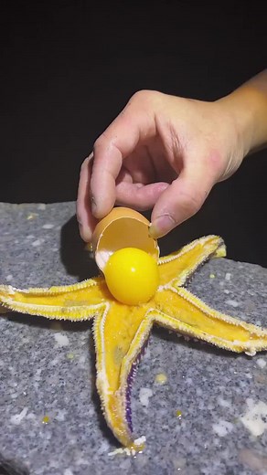 Starfish Preparation and Culinary Exploration