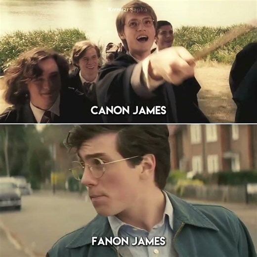 Which James Potter would you choose? #jamespotter #harrypotter #harrypotteredit #viral