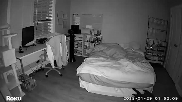 Security Cam Captures Cat's 'Paranormal Activity'