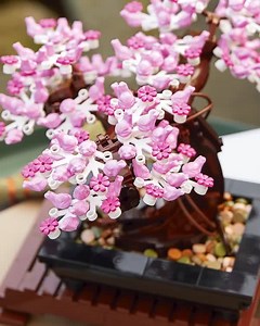 31K views · 690 reactions | Zen mit dem Bonsai-Baum aus der Botanischen Sammlung  Jetzt verfügbar: https://lego.build/BonsaiTreeReveal | LEGO | Facebook