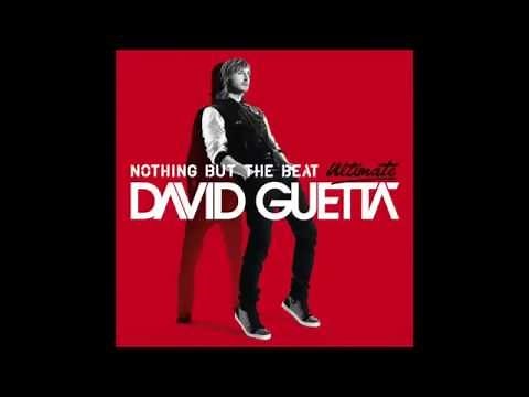 David Guetta - Play Hard (feat. Ne-Yo & Akon) [Audio]