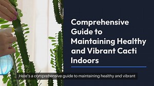 The Ultimate Guide to Indoor Cactus Care