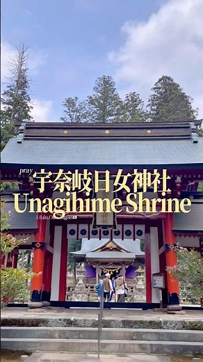 日本有数の温泉地の自然をつくり、守り続けてくれる女神様たちの神社#湯布院