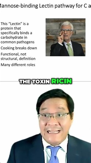 #25 Lectins - The Truth About This Controversial Protein