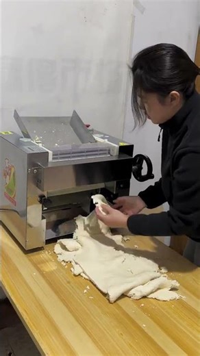 Pasteurizer 300 Model Pasta Machine