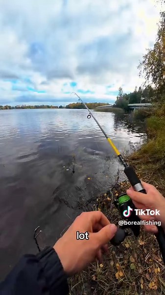 Fishing Techniques with Octopus for Pike