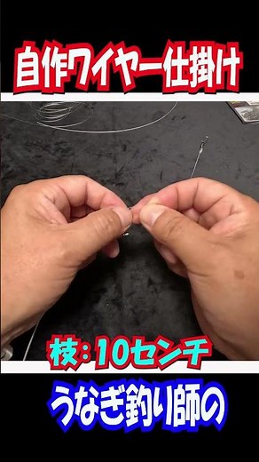 A must-see for eel fishing beginners: Improve your catch with a homemade wire rig! #eelfishing #f...