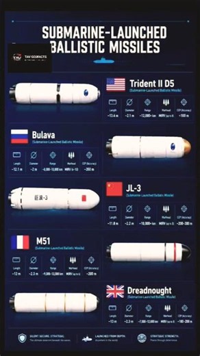 The Ultimate Deterrent: Inside the World’s Most Powerful SLBMs 🌊🚀... #warheads