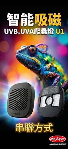 [Connection Method] ZETLIGHT Smart Magnetic UVB/UVA Reptile Lamp U1 #Reptile #Aquarium #Aquarium
