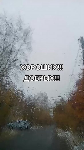 Raindrops on Car Window: An Autumn Reflection