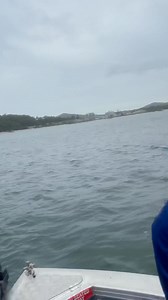 Wanna see how we caught this Tuna inside the bay? Video Link in comments or download the 9now app here. https://www.9now.com.au/fishing-australia | Fishing Australia TV
