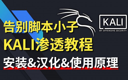 告别脚本小子！kali渗透教程‘从0到1系统学习kali！汉化/kali安装/使用原理/项目实操/web安全/渗透测试
