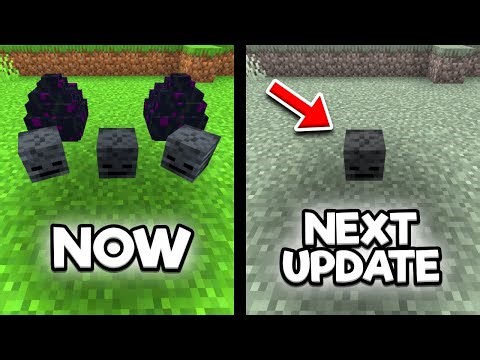 Minecraft Bugs I Don't Want Them To Fix