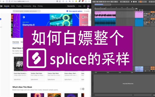 如何白嫖整个Splice的采样[附软件下载]