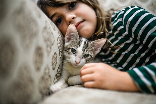 Jeu du chat perché et autres jeux de chat