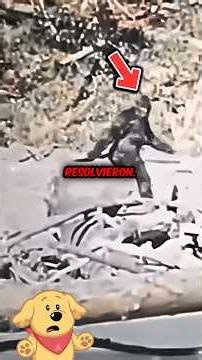 INSANE MYSTERIES you NEVER KNEW were ALREADY SOLVED! #mystery #viral #shorts