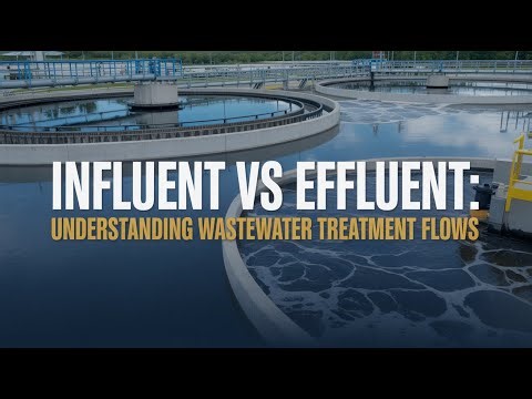 Influent vs Effluent: The Incredible Journey of Wastewater